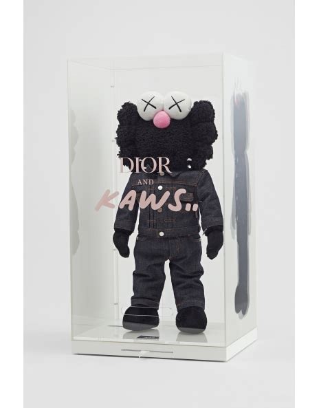 hkaws x dior replica|kaws dior artist.